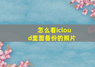 怎么看icloud里面备份的照片