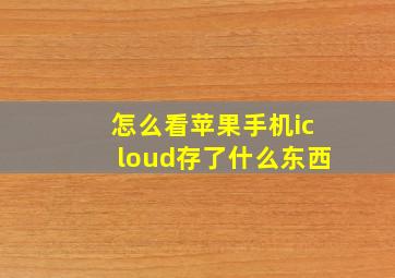 怎么看苹果手机icloud存了什么东西