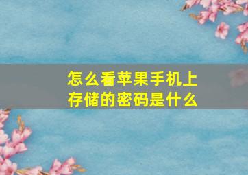 怎么看苹果手机上存储的密码是什么