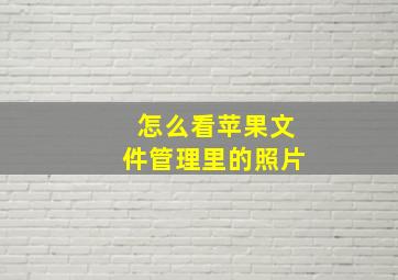 怎么看苹果文件管理里的照片