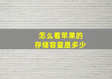 怎么看苹果的存储容量是多少