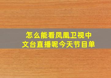 怎么能看凤凰卫视中文台直播呢今天节目单