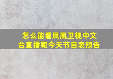 怎么能看凤凰卫视中文台直播呢今天节目表预告