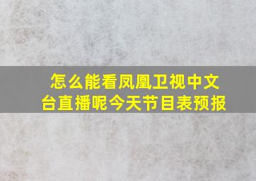 怎么能看凤凰卫视中文台直播呢今天节目表预报