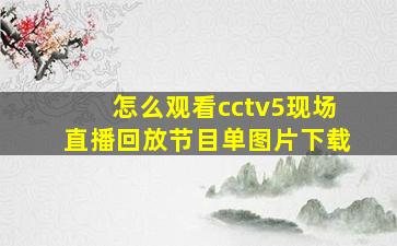 怎么观看cctv5现场直播回放节目单图片下载