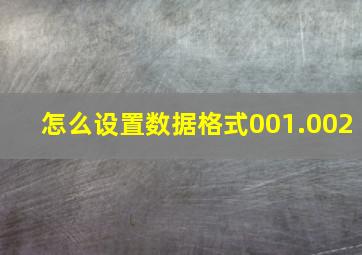 怎么设置数据格式001.002