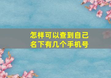 怎样可以查到自己名下有几个手机号