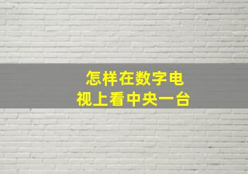 怎样在数字电视上看中央一台