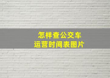 怎样查公交车运营时间表图片