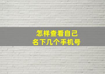 怎样查看自己名下几个手机号