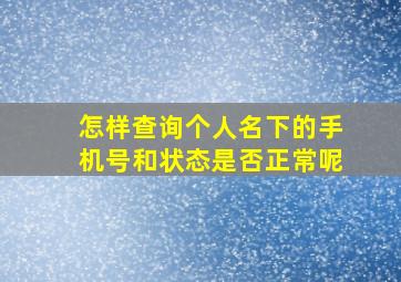 怎样查询个人名下的手机号和状态是否正常呢