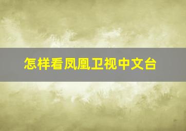 怎样看凤凰卫视中文台