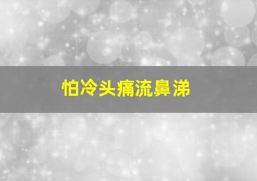 怕冷头痛流鼻涕