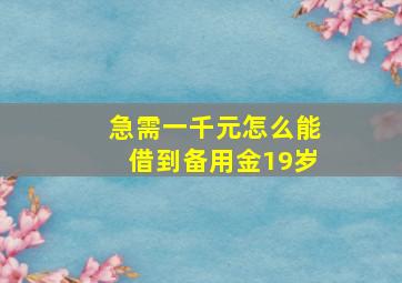 急需一千元怎么能借到备用金19岁