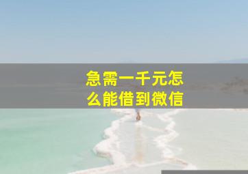 急需一千元怎么能借到微信