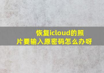 恢复icloud的照片要输入原密码怎么办呀