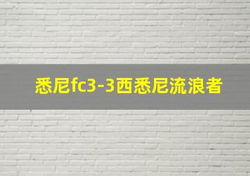 悉尼fc3-3西悉尼流浪者