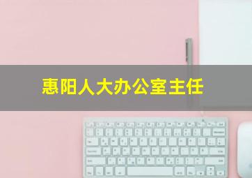 惠阳人大办公室主任