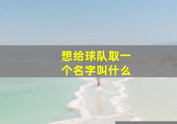 想给球队取一个名字叫什么