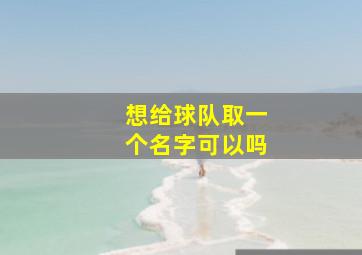 想给球队取一个名字可以吗