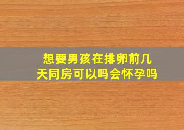 想要男孩在排卵前几天同房可以吗会怀孕吗