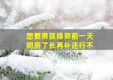 想要男孩排卵前一天同房了长再补还行不