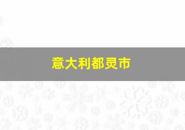 意大利都灵市