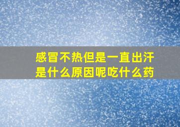 感冒不热但是一直出汗是什么原因呢吃什么药