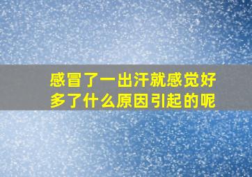 感冒了一出汗就感觉好多了什么原因引起的呢