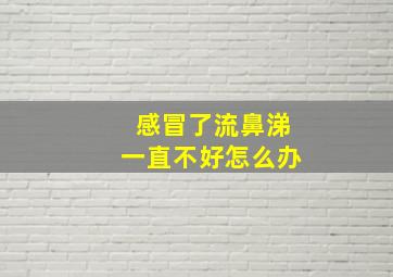 感冒了流鼻涕一直不好怎么办