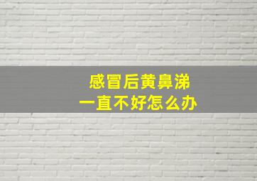 感冒后黄鼻涕一直不好怎么办