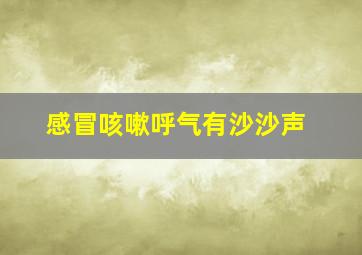 感冒咳嗽呼气有沙沙声