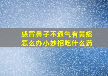 感冒鼻子不通气有黄痰怎么办小妙招吃什么药