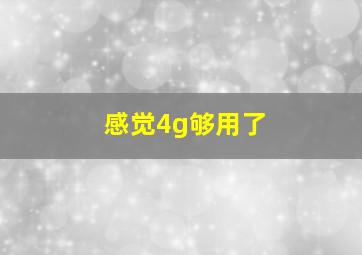 感觉4g够用了