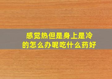 感觉热但是身上是冷的怎么办呢吃什么药好