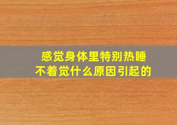 感觉身体里特别热睡不着觉什么原因引起的