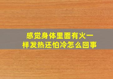 感觉身体里面有火一样发热还怕冷怎么回事