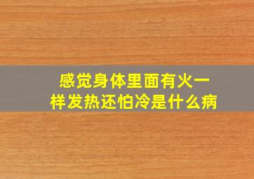 感觉身体里面有火一样发热还怕冷是什么病