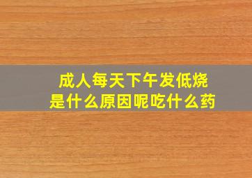 成人每天下午发低烧是什么原因呢吃什么药