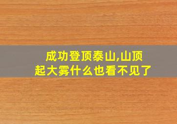 成功登顶泰山,山顶起大雾什么也看不见了