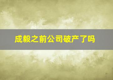 成毅之前公司破产了吗