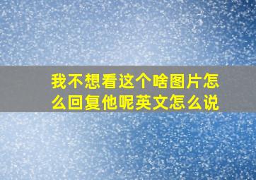 我不想看这个啥图片怎么回复他呢英文怎么说