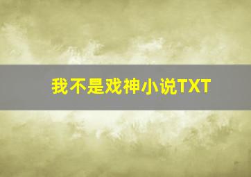 我不是戏神小说TXT