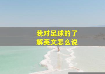 我对足球的了解英文怎么说