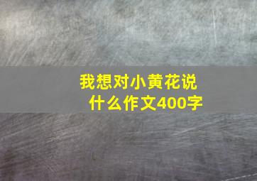 我想对小黄花说什么作文400字