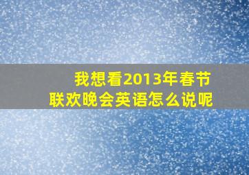 我想看2013年春节联欢晚会英语怎么说呢