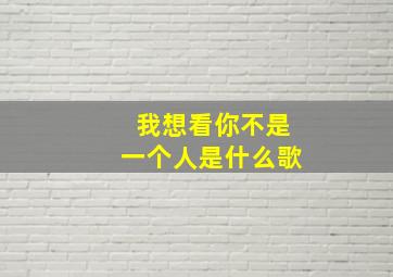 我想看你不是一个人是什么歌