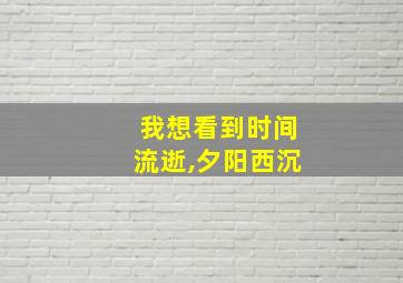 我想看到时间流逝,夕阳西沉