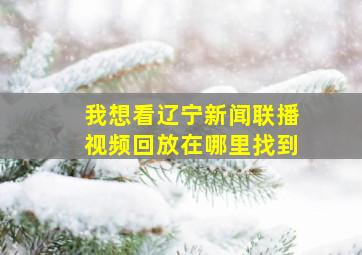 我想看辽宁新闻联播视频回放在哪里找到