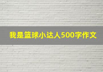 我是篮球小达人500字作文